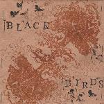 Black Birds - Galaxy Rise