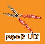 Poor Lily - s/t