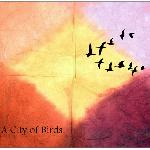 A City of Birds - Ambitions