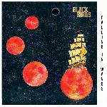 Black Birds - Falling in Waves
