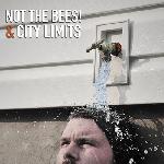 City Limits / Not the Bees! - split