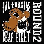 Bear Fight - Round 2