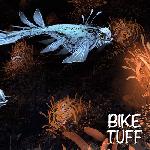 Bike Tuff - Into Shore (vinyl)