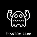 Holy Pinto - Phantom Limb