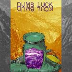 Dumb Luck - Tides