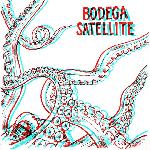 Bodega Satellite - 3D