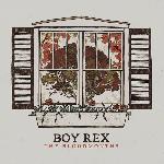 Boy Rex - The Bloodmonths