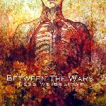 Between the Wars - Less We Believe