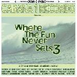 Various Artists - WHERE THE FUN NEVER SETS VOL. 3