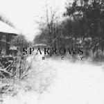 Sparrows - Grey