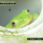 Annelids - I Misc. You